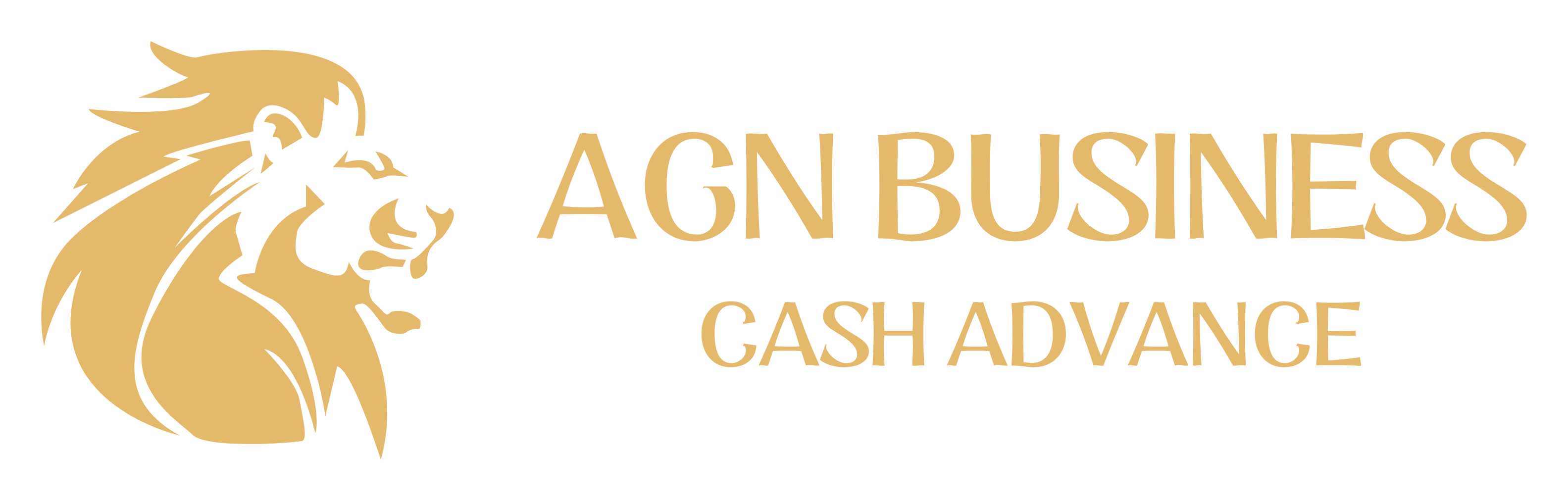 agn business cash advance